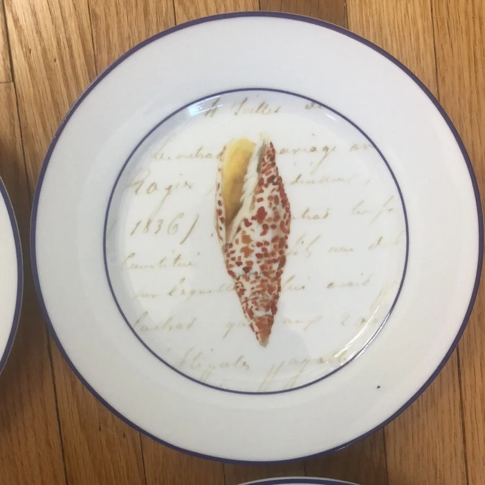 Williams Sonoma Set Seashell Salad Dessert Luncheon Plates